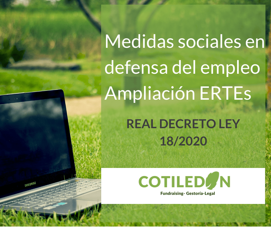 Medidas sociales en defensa del empleo – Real Decreto-ley 18/2020